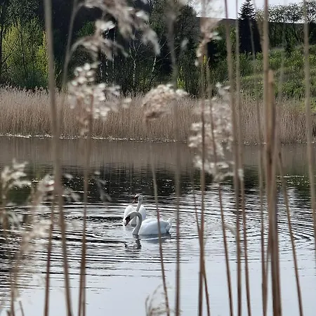 Calm And Idyllic Surroundings In Northen Jutland *
