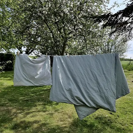 Calm And Idyllic Surroundings In Northen Jutland *