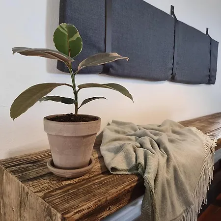 Calm And Idyllic Surroundings In Northen Jutland Apartment Nibe